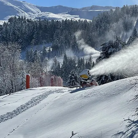 Apartment Avec Balcon, Au Pied Des Pistes, Equipe, 1er Etage, Parking, Casier A Skis - Fr-1-787-19 *